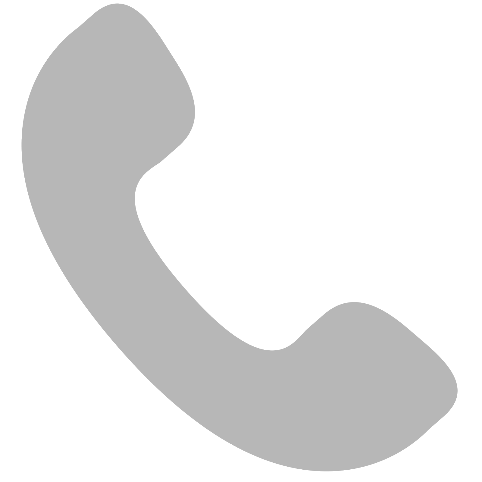 phone icone